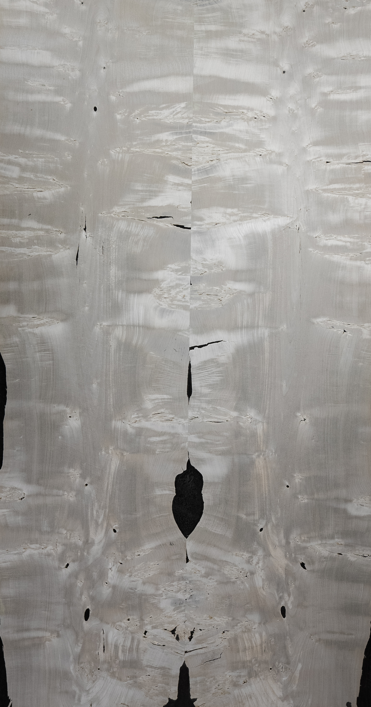 OMBRA EXOTIQ COLLECTION